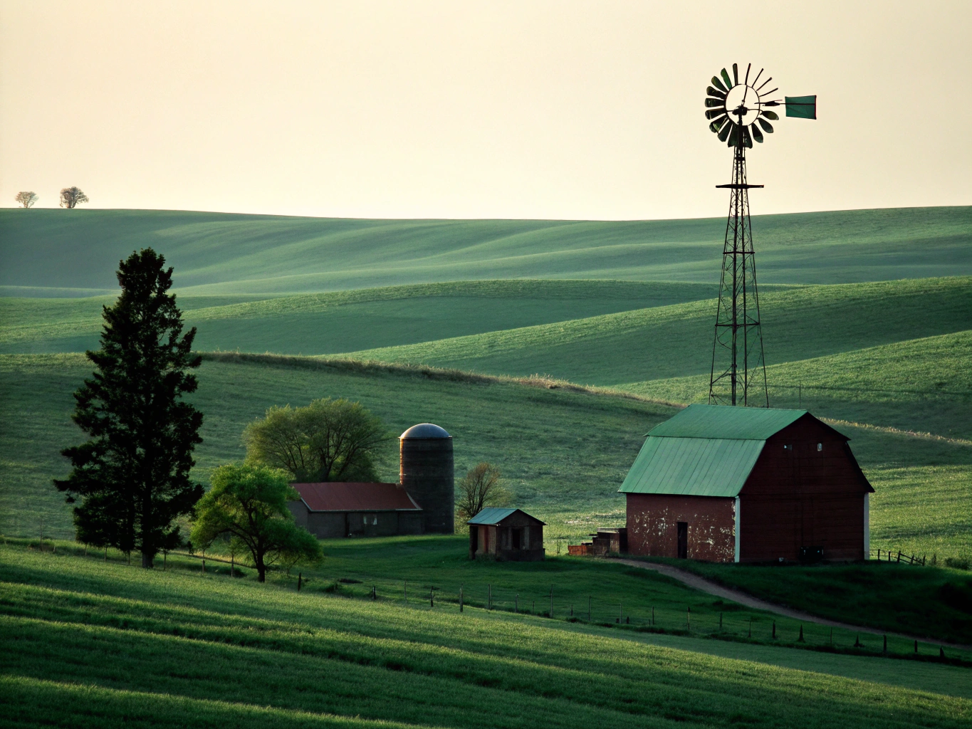 Fresh Harvest Farms